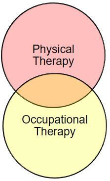 Physical Therapy / Occupational Therapy