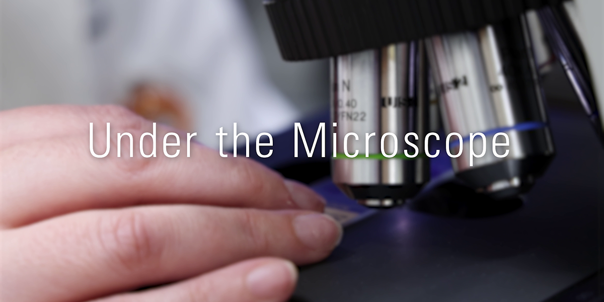 hand adjusting slide under microscope