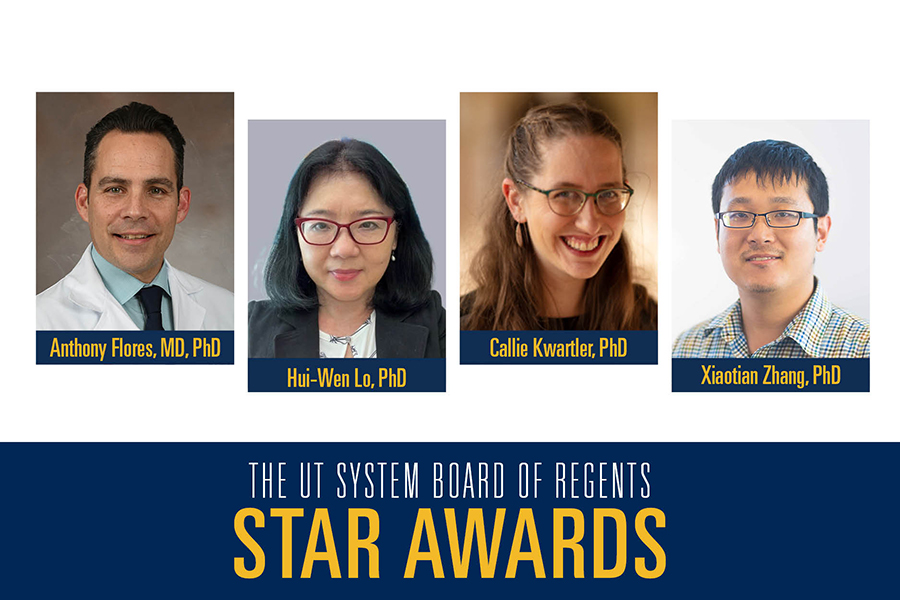 2023 UT System STARs Awardees