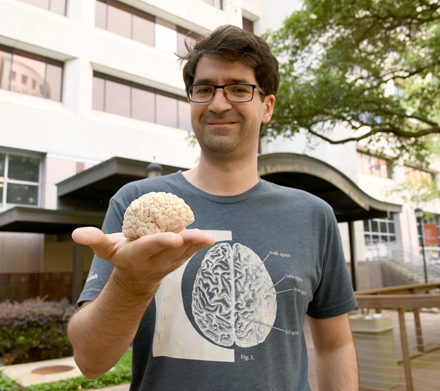 Dr. Oscar Woolnough - 3D Printed Brain