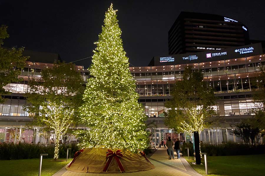 The tree at TMC Helix Park