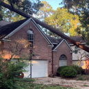 The Aftermath of Hurricane Beryl