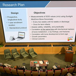 Bone Disease Research Program