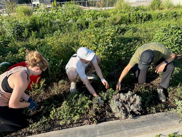 Students working at the Blackwood Educational Land Institute