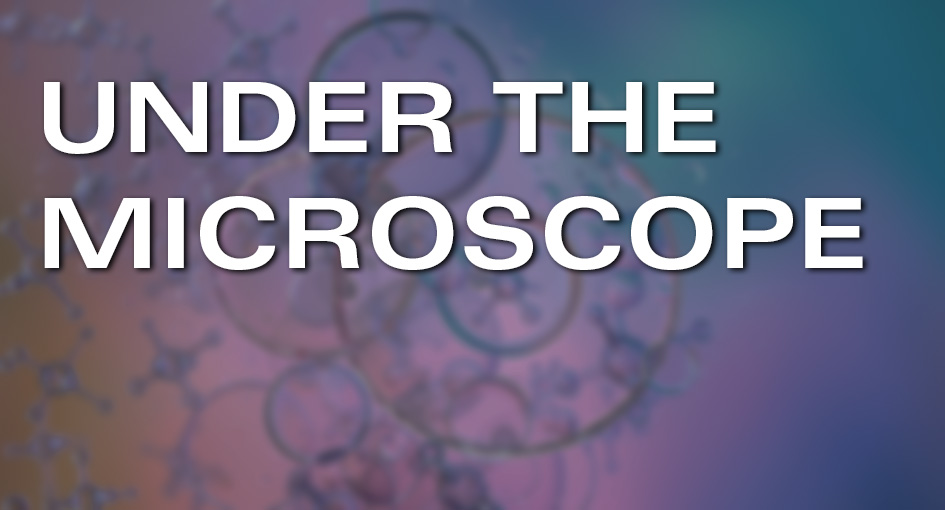 Under the microscope 1