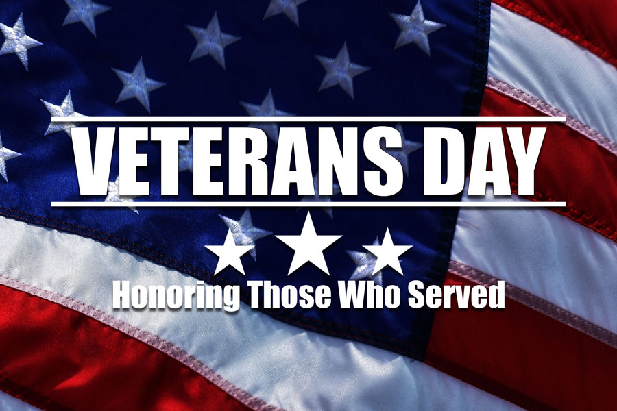 Veterans Day Graphic