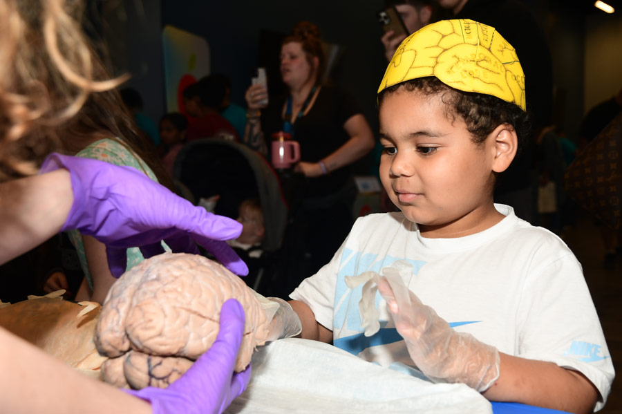 A student in a yellow brain hat participates in Brain Night