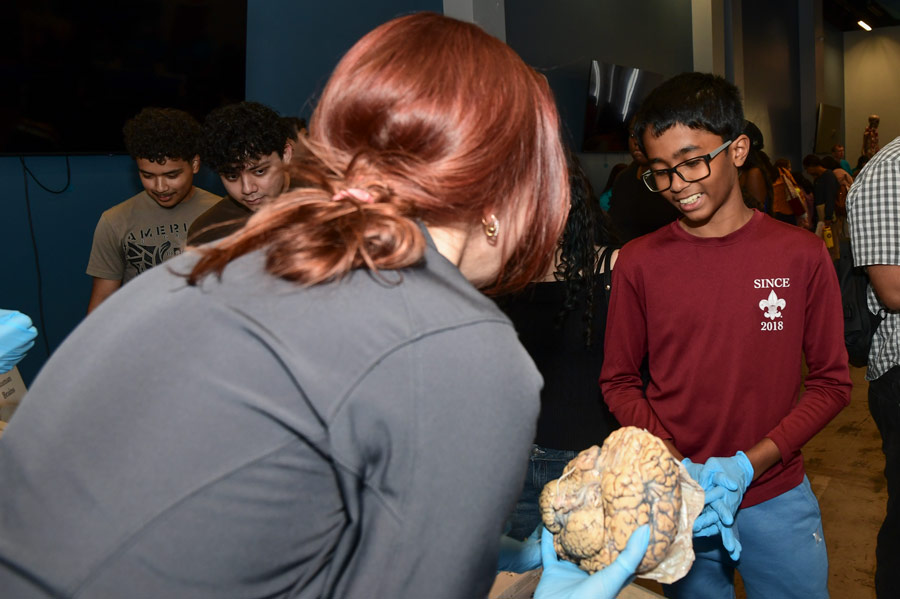 A student learns about the brain at Brain Night for Kids