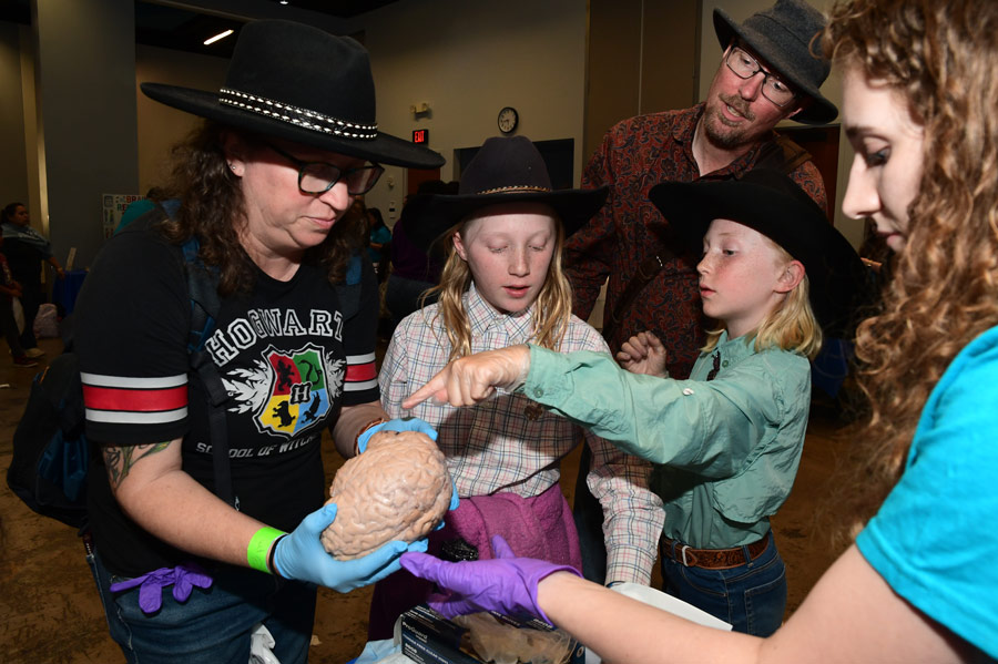 A family holds a model of a brain at Brain Night for Kids