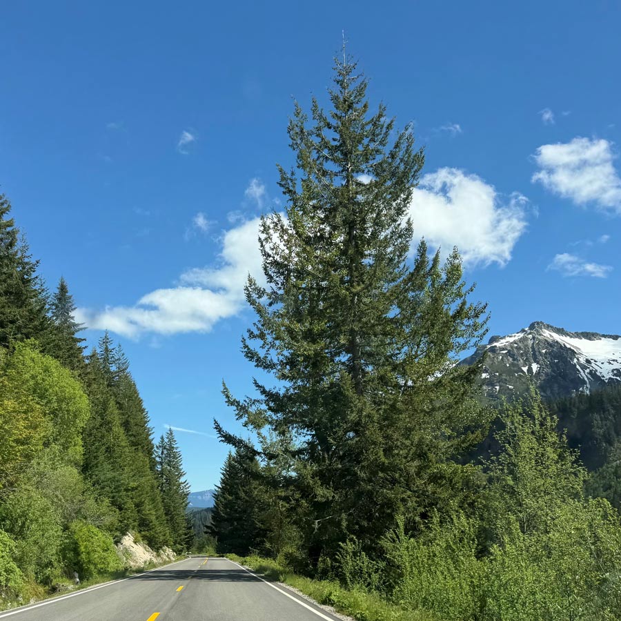 A two-lane road winds through a forested mountain landscape beneath a bright blue sky with scattered clouds.