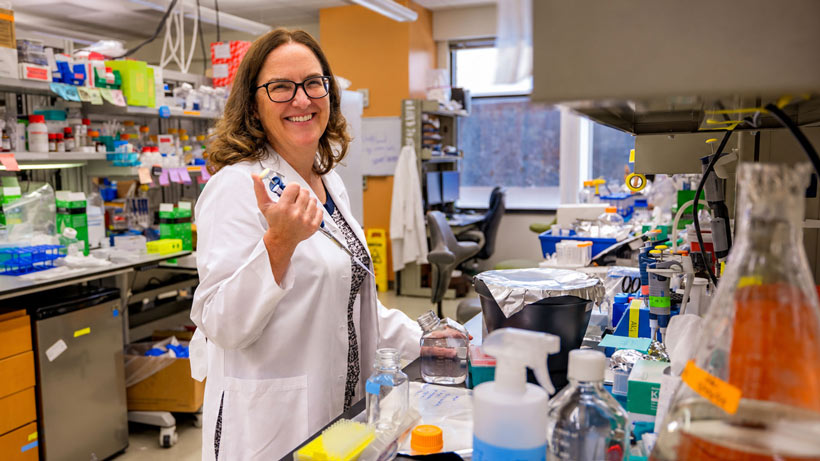 Dr. Louise McCullough in her lab at McGovern Medical School