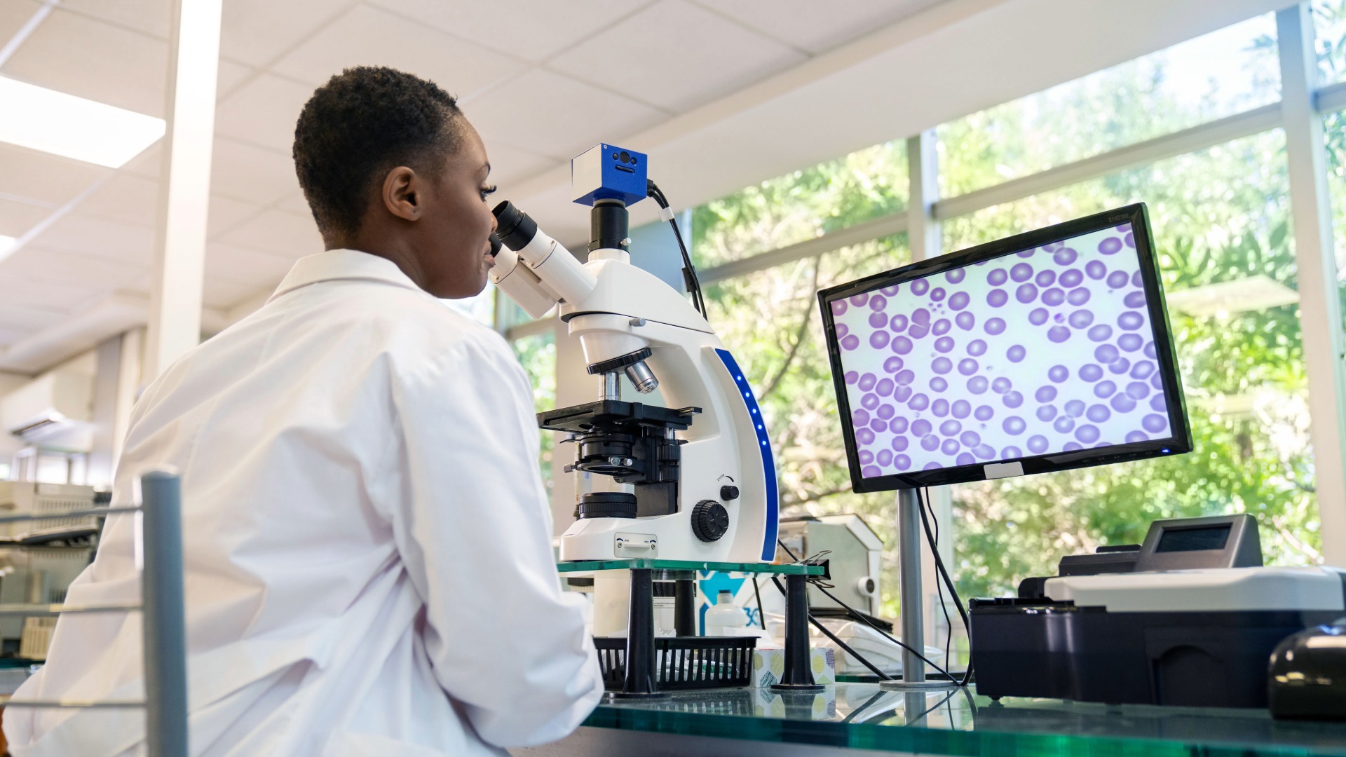 A pathologist studies a slide on their computer